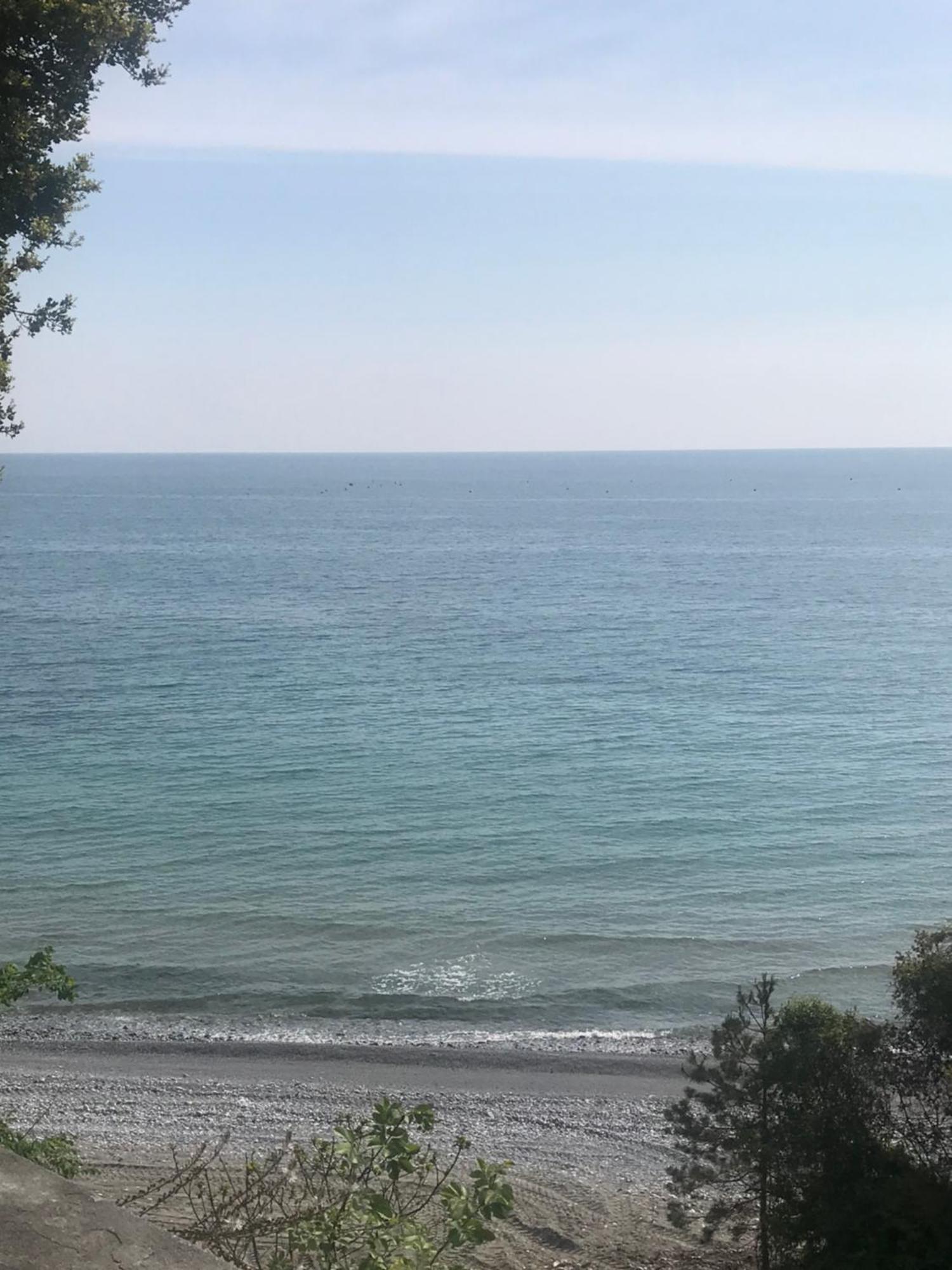 Zeusplace Seaside Home Private Beach And Parking プラカ・リトホロ エクステリア 写真