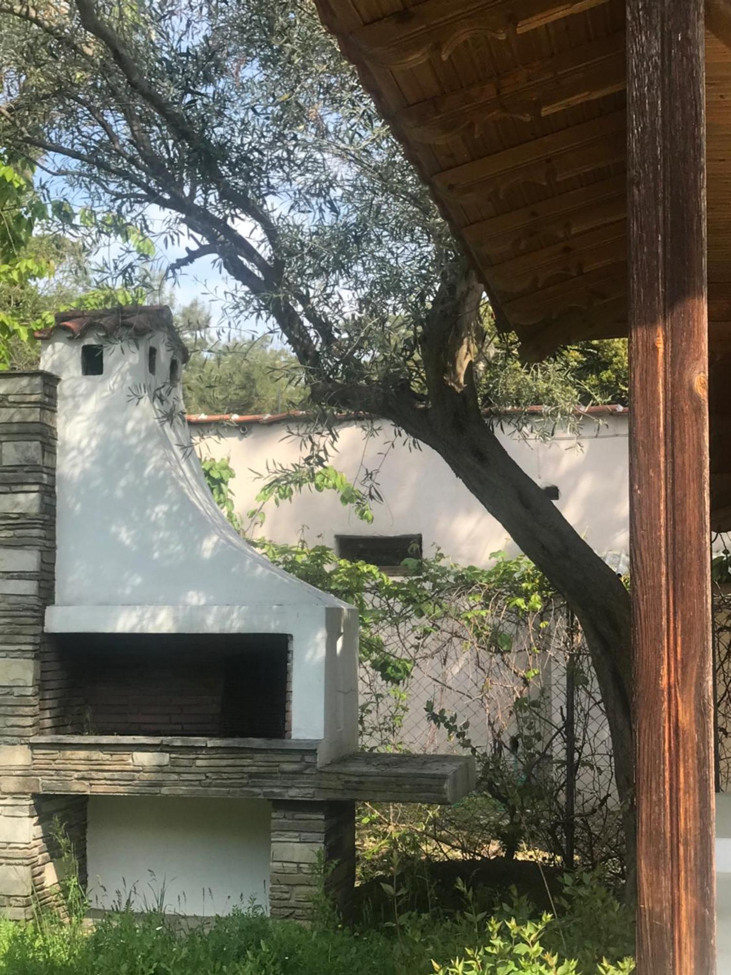 Zeusplace Seaside Home Private Beach And Parking プラカ・リトホロ エクステリア 写真