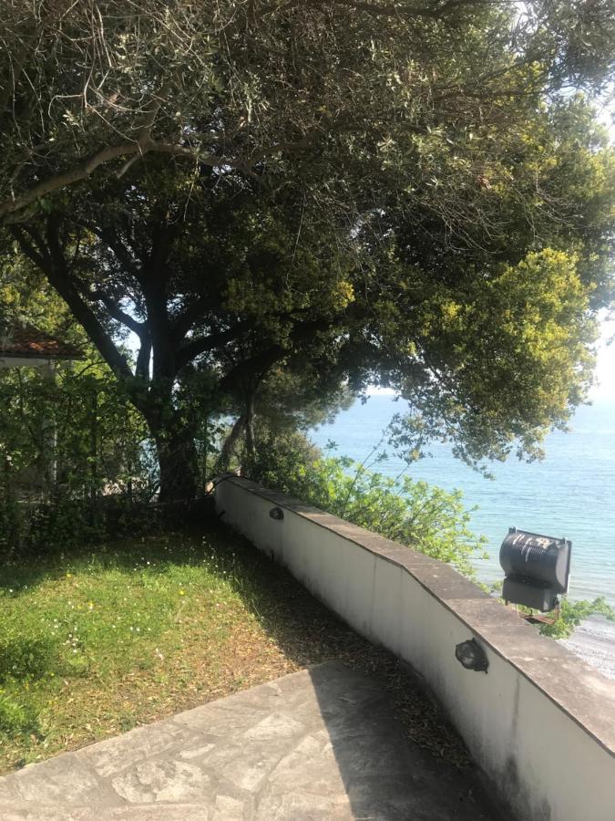 Zeusplace Seaside Home Private Beach And Parking プラカ・リトホロ エクステリア 写真